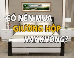 co nen mua giuong hop hay khong  noi that dadota