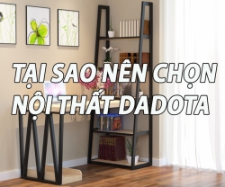 tai sao nen chon noi that dadota